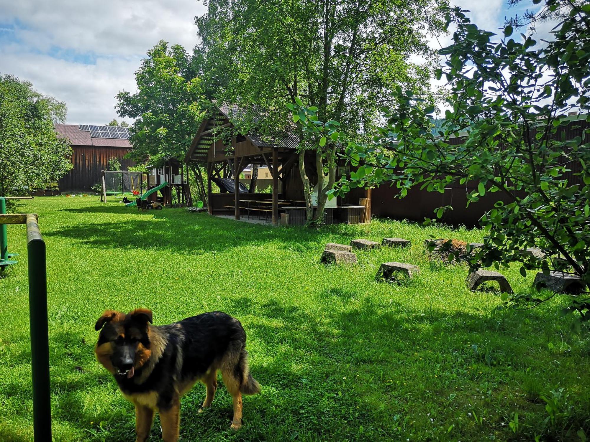 Arenda Noclegi Niedzica Exterior foto
